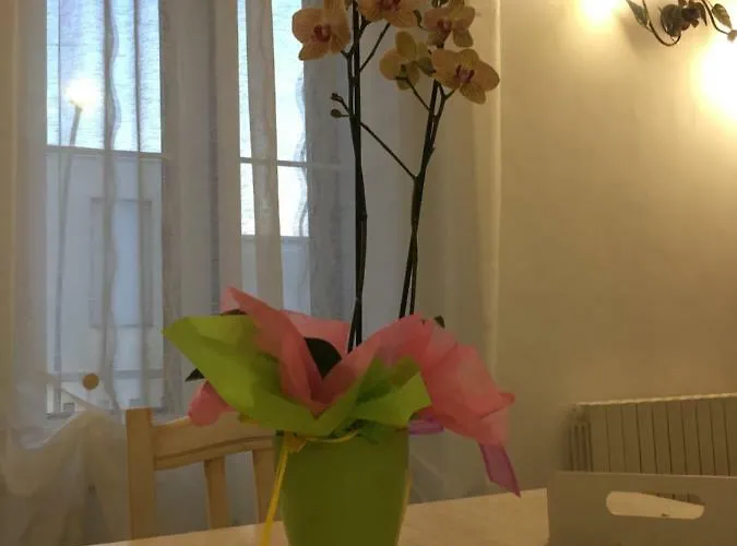 La Chiccara Del Bar Natale Nardò