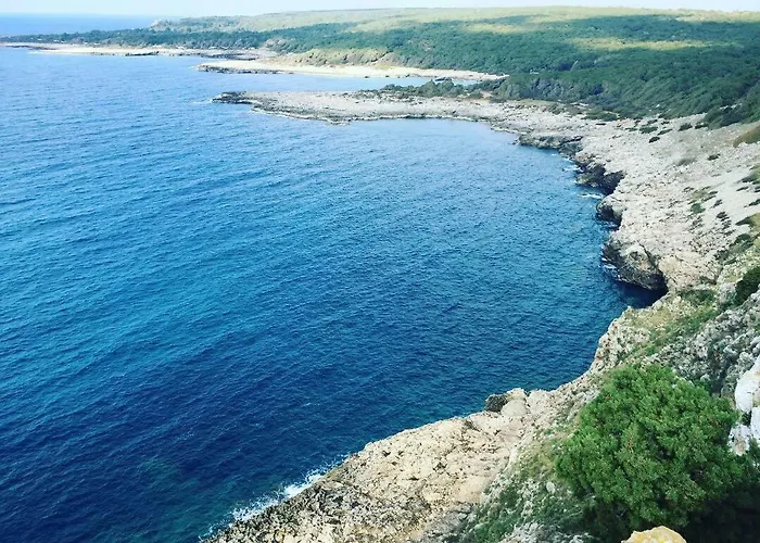 La Chiccara Del Bar Natale Nardò